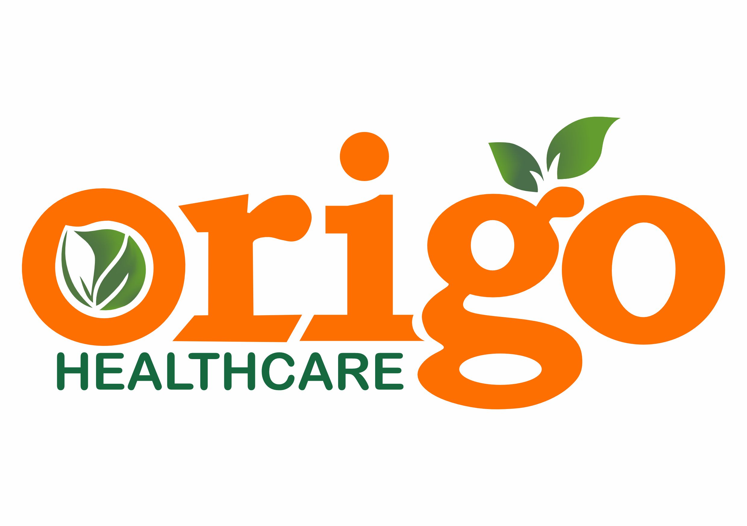 Origo Healthcare Solutions Logo